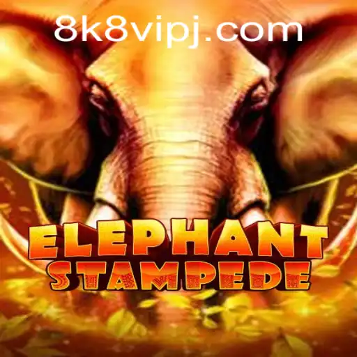 Elephant Stampede Game Review