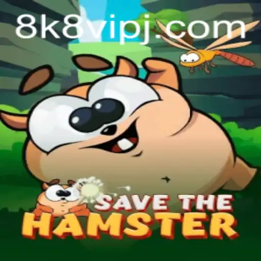 SavetheHamster: The Adventurous Quest for Gamers